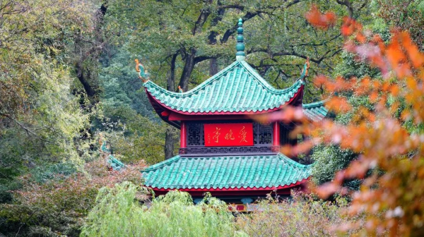 抖圈- 为du而生